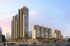 深圳村委统建房