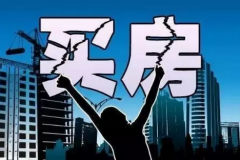 买了白石洲深圳小产权房的人成了爆发富？最大旧改项目终于要来了